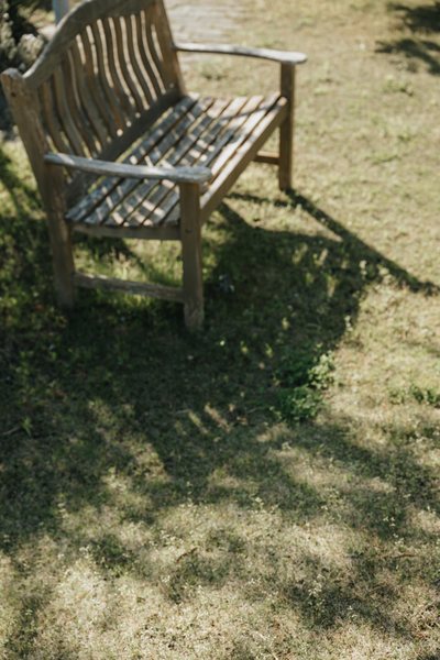 余白の庭 ベンチのある庭