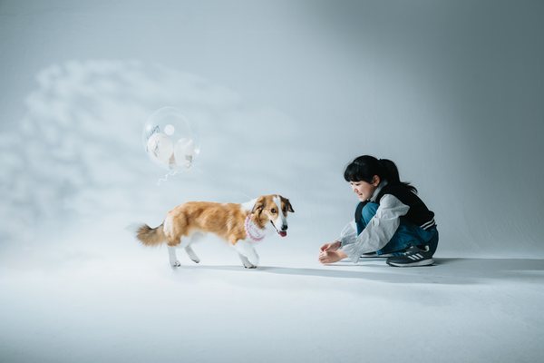 ペットフォト 犬と少年